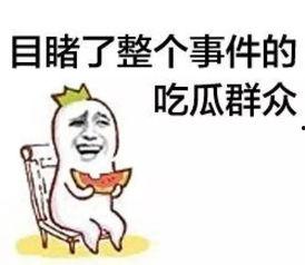 赌球吃瓜群众,吃瓜群众眼中的激情与争议