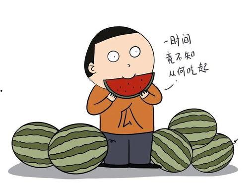 吃瓜群众的头领怎么形容,揭秘网络热议背后的真相