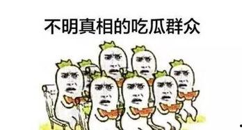 马上吃瓜群众,网络热词背后的文化现象