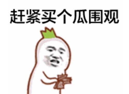 吃瓜群众不看别看我英语,Unveiling the Truth: A Gossipy Look at 'Eating Watermelons and Not Looking at Me'