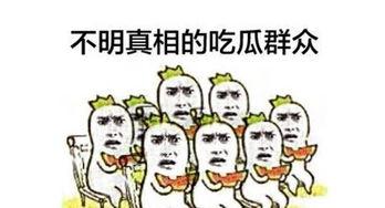 群众中的吃瓜什么,吃瓜群众视角下的社会百态