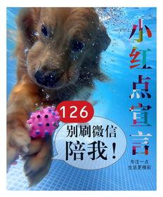 来不及吃瓜的群众,围观群众来不及吃瓜