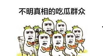 单身后吃瓜群众会,吃瓜群众眼中的爱情百态