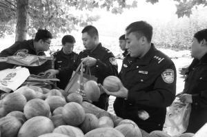 公安局吃瓜群众,揭秘警界幕后故事