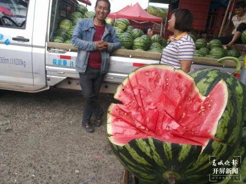 吃瓜群众深圳处楠门,揭秘吃瓜群众的娱乐盛宴