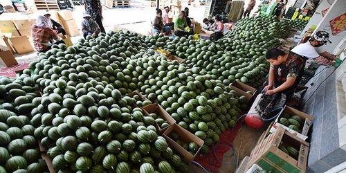 吃瓜群众减肥餐图片大全,健康美味两不误