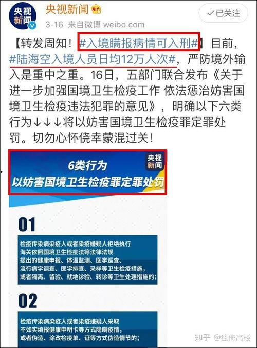 武清吃瓜群众事件始末视频,一场网络舆论的风波与反思