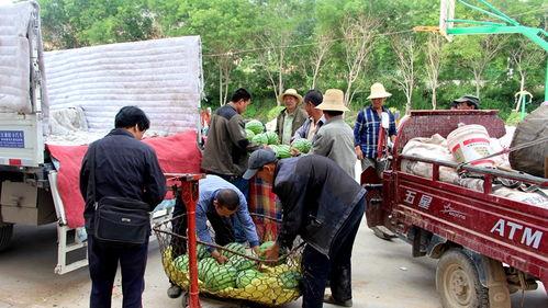吃瓜群众岱岱转哪里了,揭秘其神秘去向