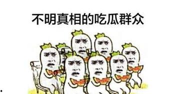 发怒吃瓜群众,吃瓜群众热议风云
