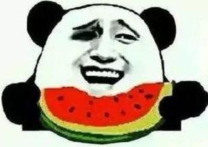 吃瓜群众你在看什么,你正在追的是什么？