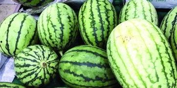 吃瓜群众去哪儿找西瓜看,跟随吃瓜群众探寻西瓜乐园