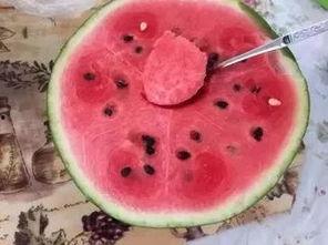 吃瓜群众西瓜产量,揭秘吃瓜群众西瓜产量背后的秘密