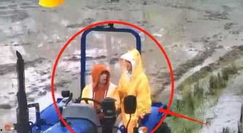 开拖拉机吃瓜群众,开拖拉机吃瓜群众的欢乐时光