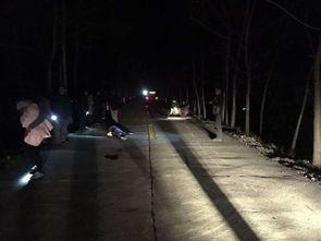 宁波吃瓜群众被撞身亡,吃瓜群众不幸被撞身亡，引发社会关注