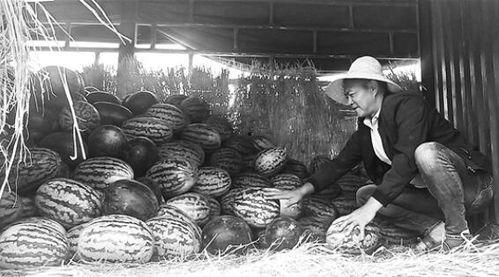 淮安吃瓜群众事件视频曝光,视频曝光揭示现场冲突瞬间