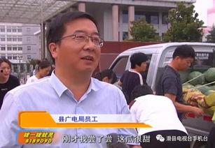 中原区最新吃瓜群众新闻,揭秘社区热点事件背后的真相