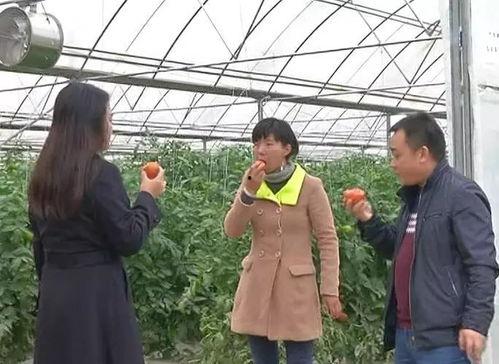 绥阳吃瓜群众事件始末最新消息,真相追踪与舆论发酵全记录