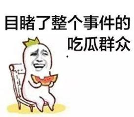 吃瓜群众里的路人甲,揭秘娱乐圈背后的故事