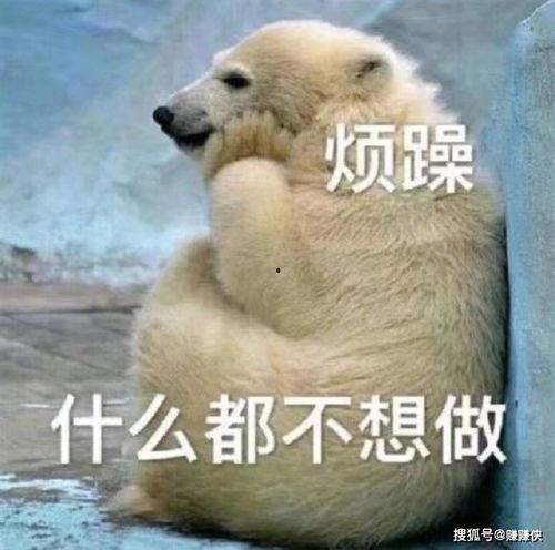 新加坡吃瓜群众是谁啊图片,网络热议背后的真实面孔