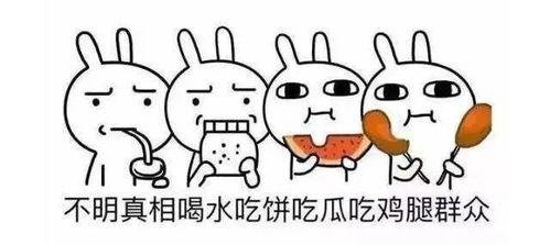 家的吃瓜群众怎么说话,揭秘家的温馨瞬间